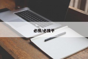必搜/必搜平
