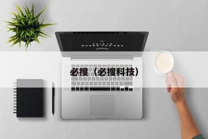 必搜（必搜科技）