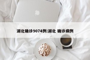 湖北确诊9074例:湖北 确诊病例