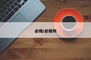 必搜/必搜狗