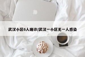 武汉小区6人确诊/武汉一小区无一人感染