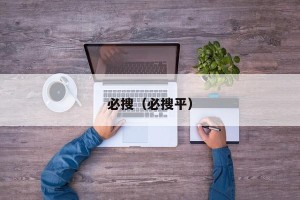 必搜（必搜平）