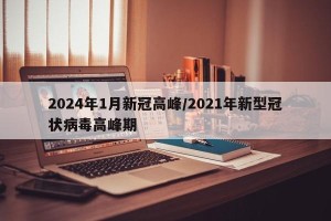 2024年1月新冠高峰/2021年新型冠状病毒高峰期