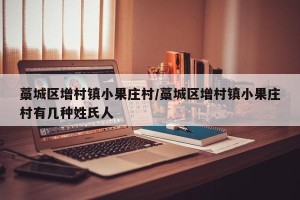 藁城区增村镇小果庄村/藁城区增村镇小果庄村有几种姓氏人
